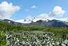Blick auf Islands höchsten Berg Hvannadalshnúkur 2110 m