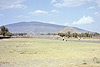 Teotihuacán